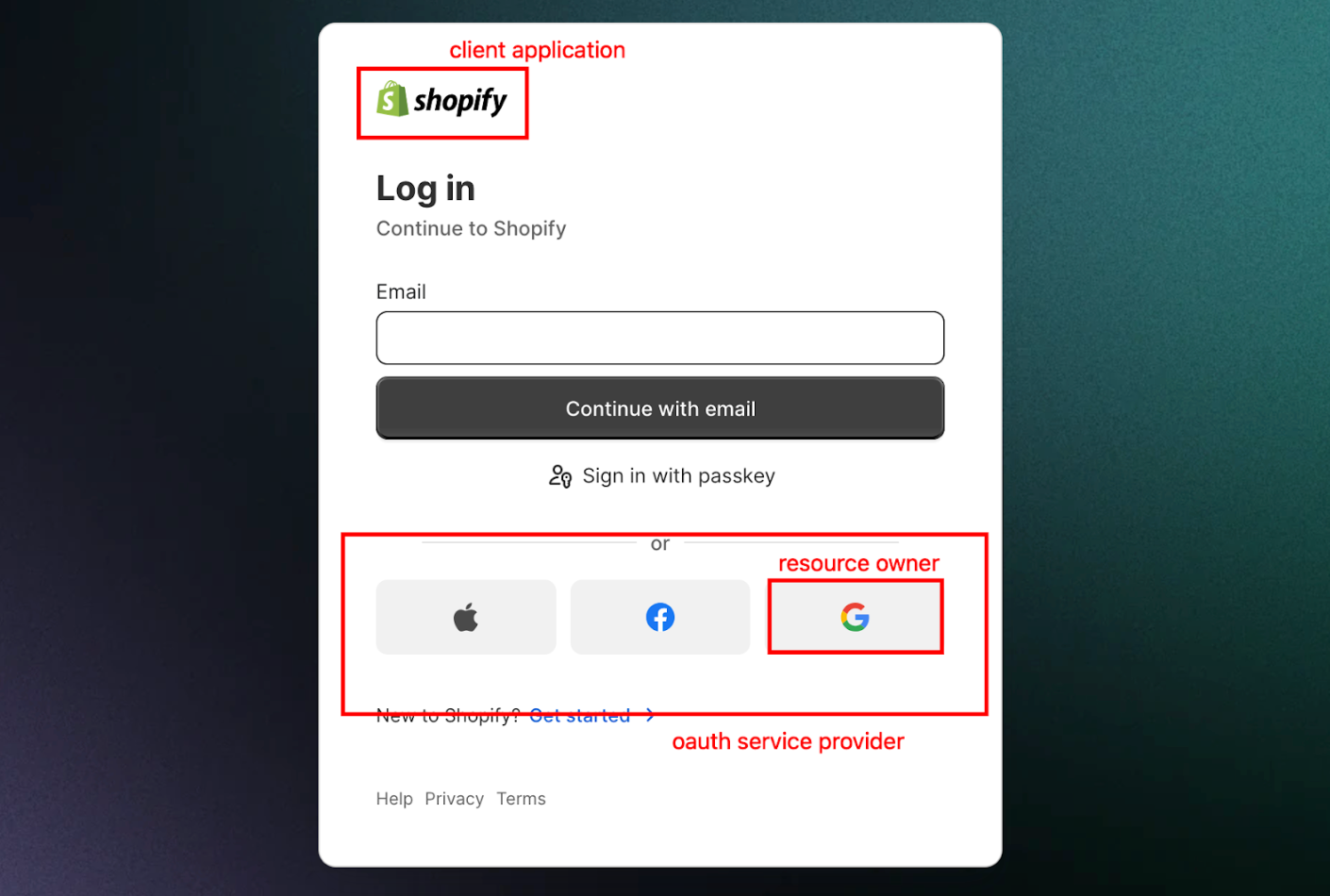 Understanding the entities on Shopify